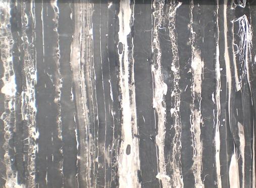 Silver Gold Silver Gold