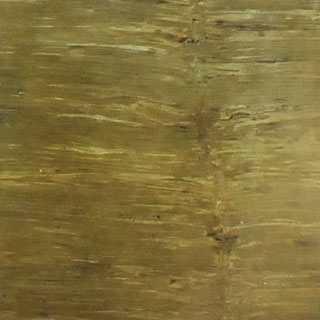 Bamboo Fossil Bamboo Fossil