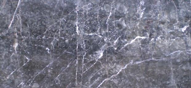 Purple Shell Onyx Purple Shell Onyx