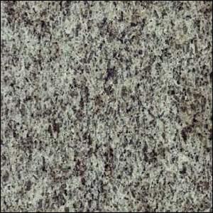 Snake Skin Snake Skin