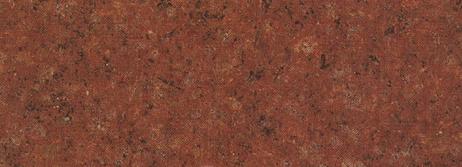 Azalea Red of Two Vendors Mountain Azalea Red of Two Vendors Mountain