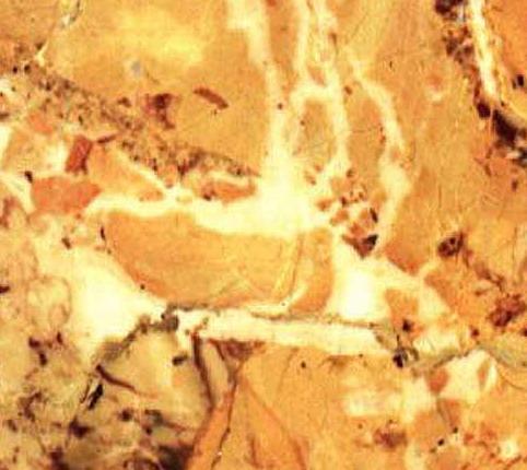 Breccia Aurora Classica