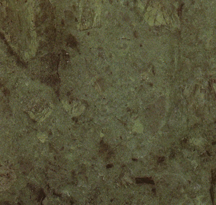 Rajastan Green Rajastan Green