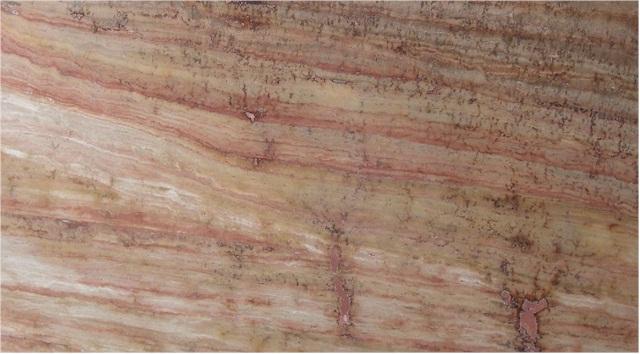 Rosa Scabas Rosa Scabas