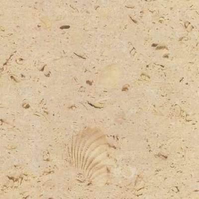 Austin Shell Austin Shell