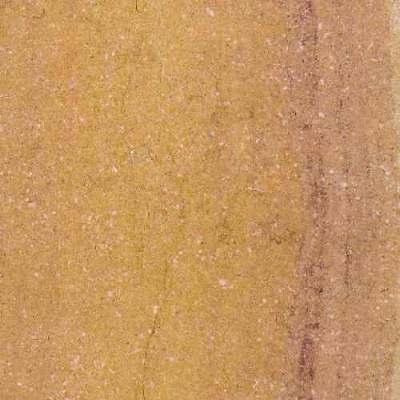 Buxy Sauvage Buxy Sauvage