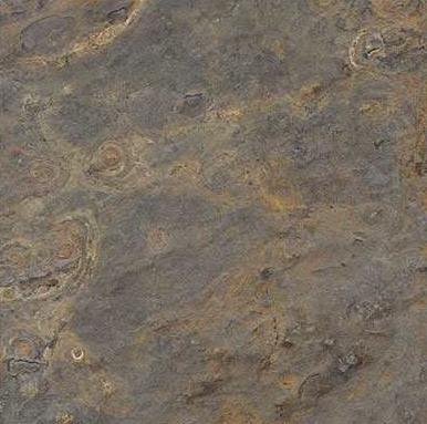 Autumn Rich Autumn Rich