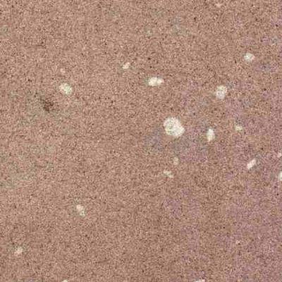 Eichsfelder Sandstein Eichsfelder Sandstein