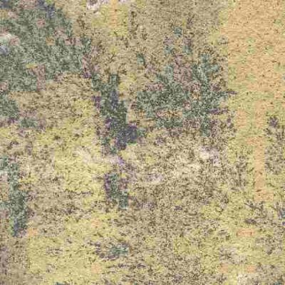 Fossel Sandstone Fossel Sandstone