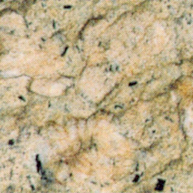 Trachite Zovonite Calda Variegata Trachite Zovonite Calda Variegata