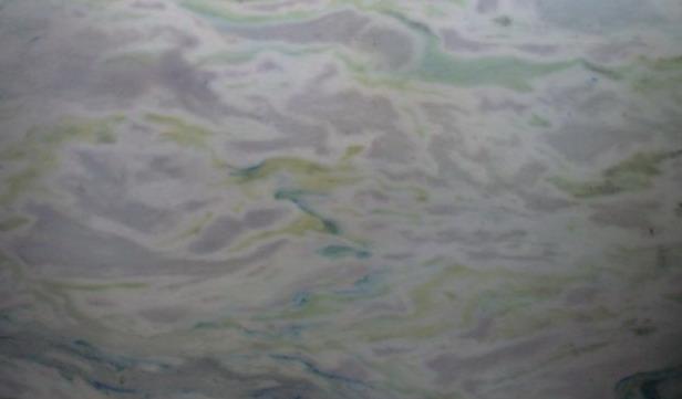 Madreperola Madreperola