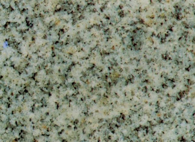 White Safaga White Safaga