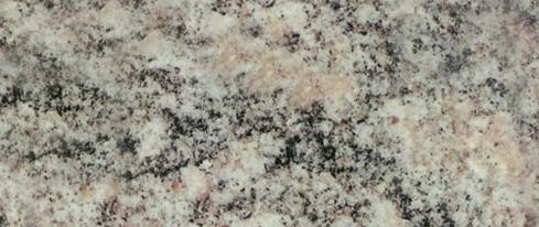 Fior Di Gactus Fior Di Gactus