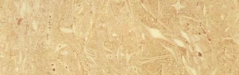 Galala Pearl Galala Pearl