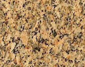 Garioca Gold Garioca Gold