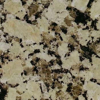 Grey Conquistador Grey Conquistador