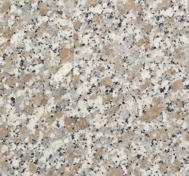 Rosa Limbara Rosa Limbara