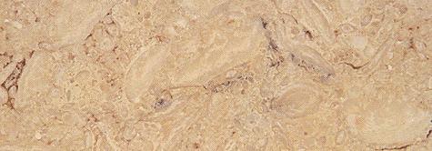 Sama Beige Sama Beige