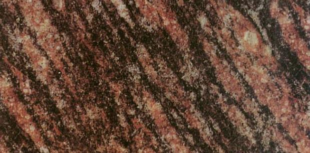 Tigrato Red Tigrato Red