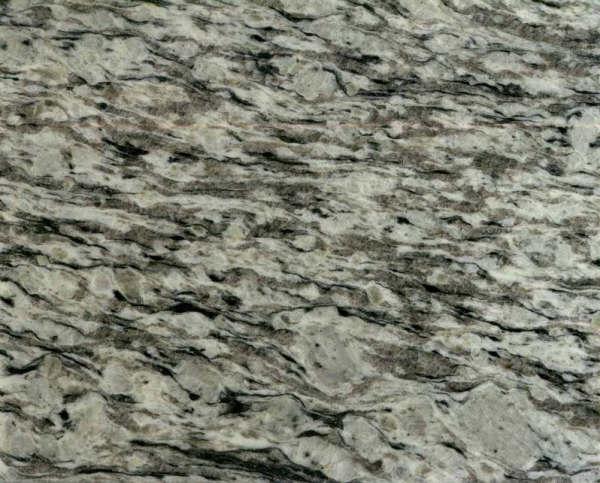 Zebra White Zebra White