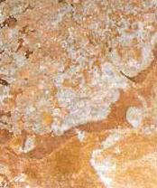 Mac Green Rustic Mac Green Rustic