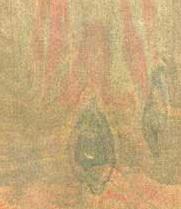 Madras Multi Madras Multi