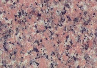 Nubian Rose Nubian Rose