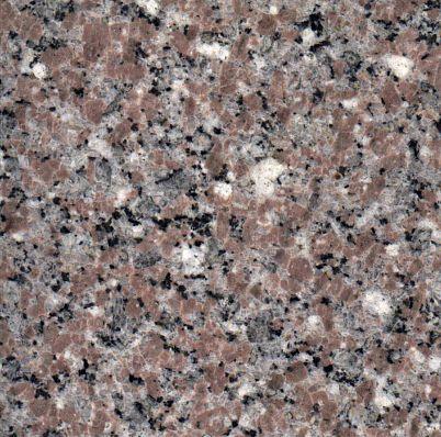 Rosa El Shayeb Rosa El Shayeb