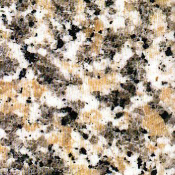 Rosa Cinzia Rosa Cinzia