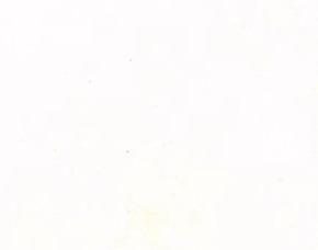 Bianco Scintillante Bianco Scintillante