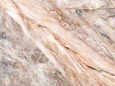 Tepeaca Rose Tepeaca Rose