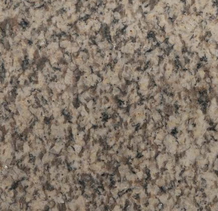 Giallo Cecilia Giallo Cecilia