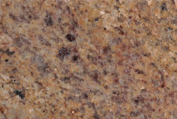 India Golden India Golden