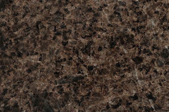 Coffee Brown Coffee Brown