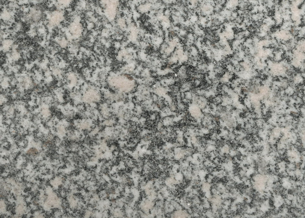 Lord GreyG343 Lord GreyG343