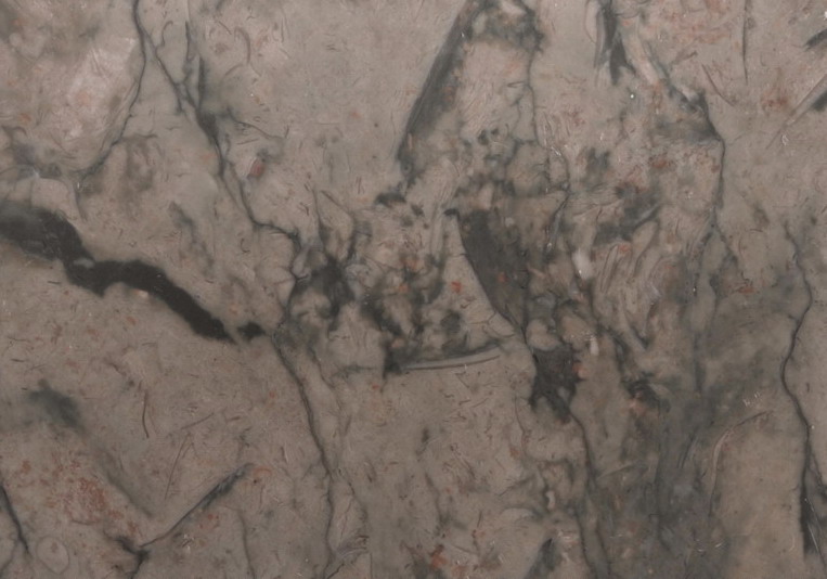 Lotus Green Lotus Green