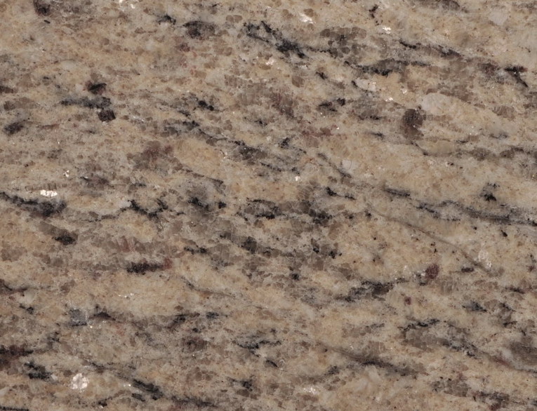 Giallo Cecilia Giallo Cecilia