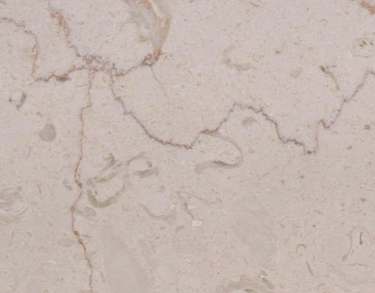 Shell BeigeA Shell BeigeA