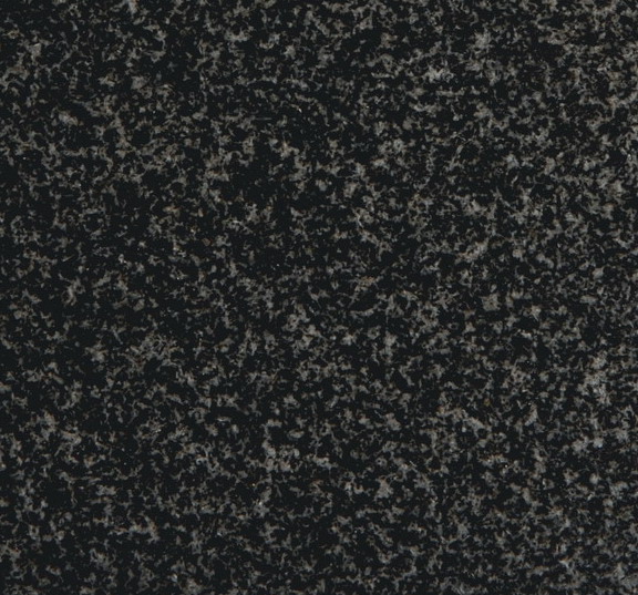 Shanxi Black Shanxi Black