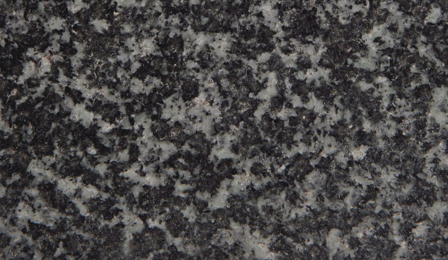 Verde ForestC Verde ForestC