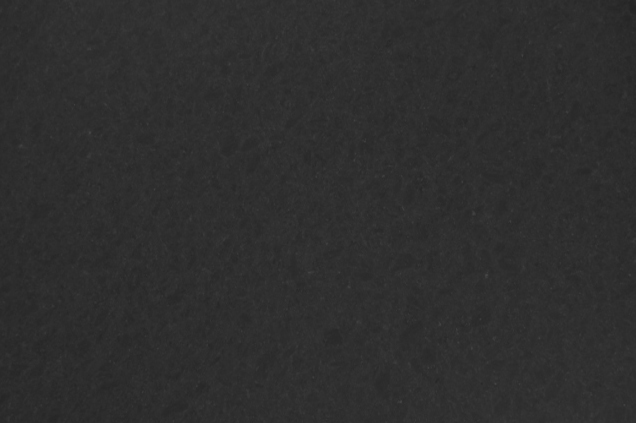 Kasmir Black Kasmir Black