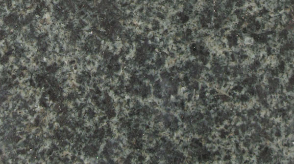 New Frog Skin New Frog Skin