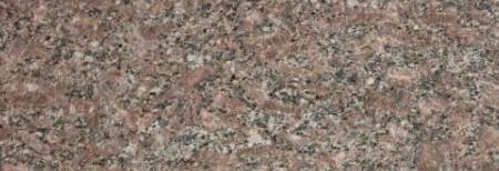 Royal Rose Royal Rose