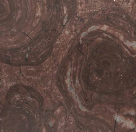 Imperial rose Imperial rose