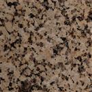 Chrysanthemum Yellow