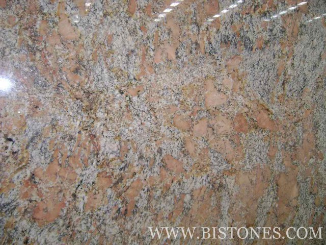 Chrysanthemum Yellow Tiles